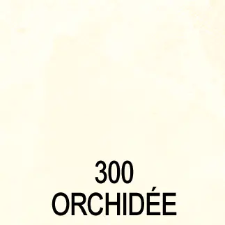 STUCC_300_Orchidee STUCC_300_Orchidee