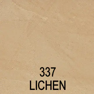 STUCC_337_Lichen STUCC_337_Lichen