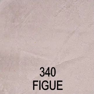 STUCC_340_Figue STUCC_340_Figue