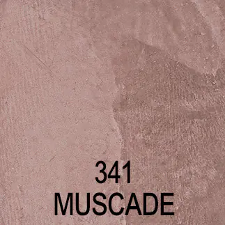STUCC_341_Muscade STUCC_341_Muscade